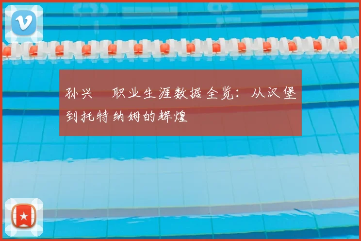 孙兴慜职业生涯数据全览:从汉堡到托特纳姆的辉煌