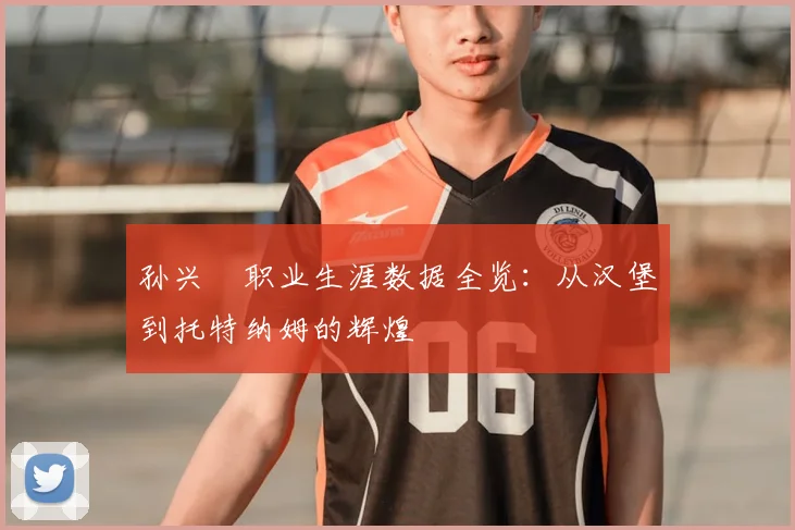 孙兴慜职业生涯数据全览:从汉堡到托特纳姆的辉煌