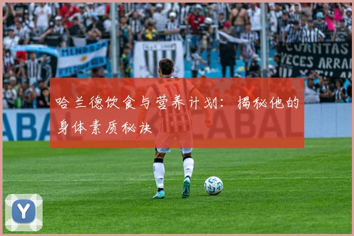 哈兰德饮食与营养计划:揭秘他的身体素质秘诀